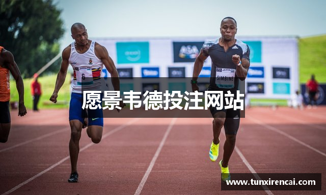 愿景韦德投注网站